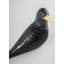 Starling II-872933370