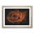 Oak Framed selected