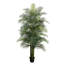 Plante-1929067215