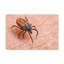 Wall Art on Canvas-1772627650