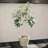 Tarik 19.5'' Faux Olive Tree Tree in Ceramic Pot