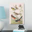 A Selection of Birds by John James Audubon - Wrapped Canvas-55368333