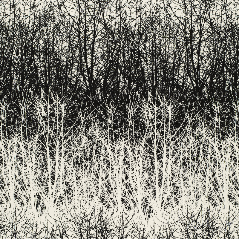 Tissu de bouleaux