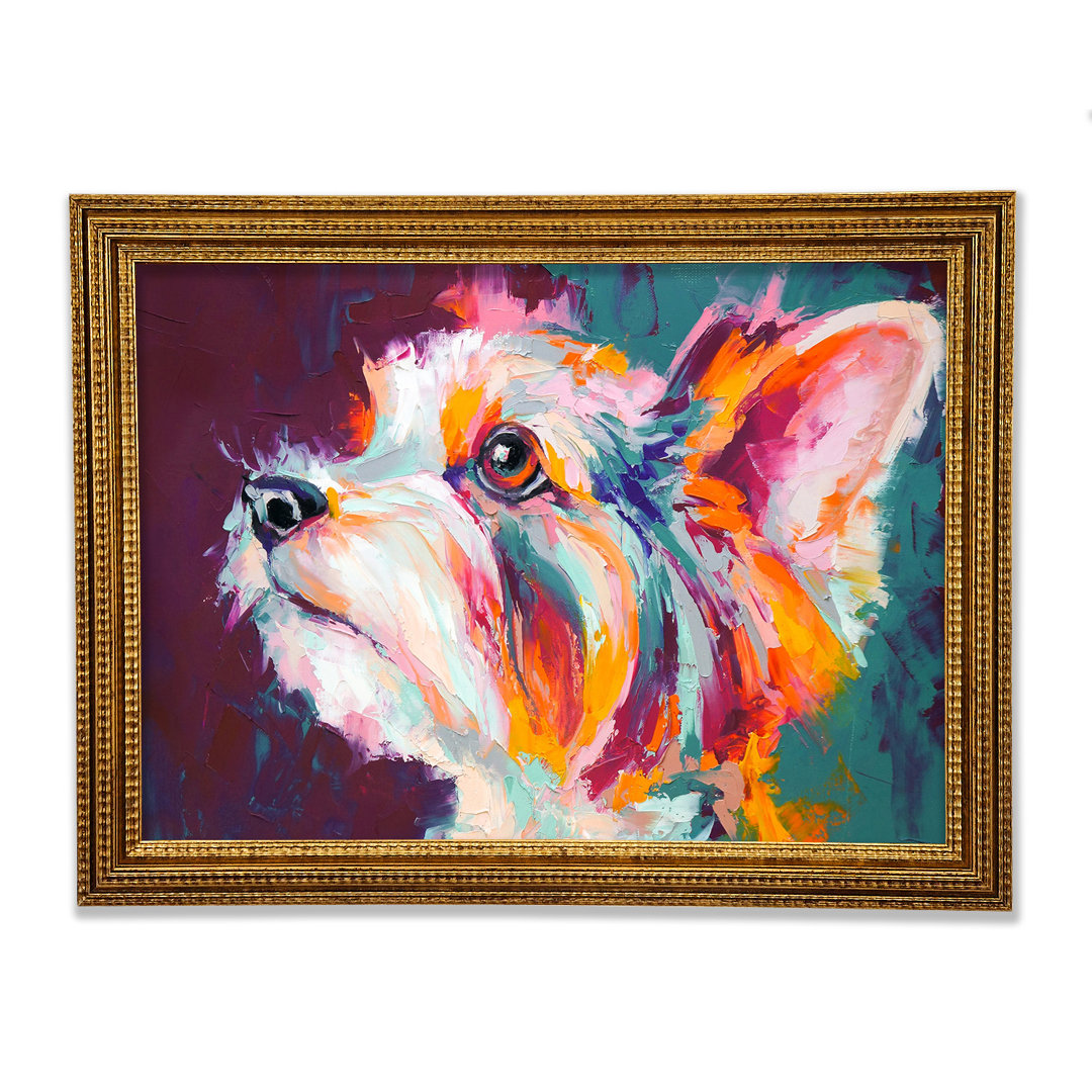 Gerahmtes Wandbild Vibrant Yorkshire Terrier