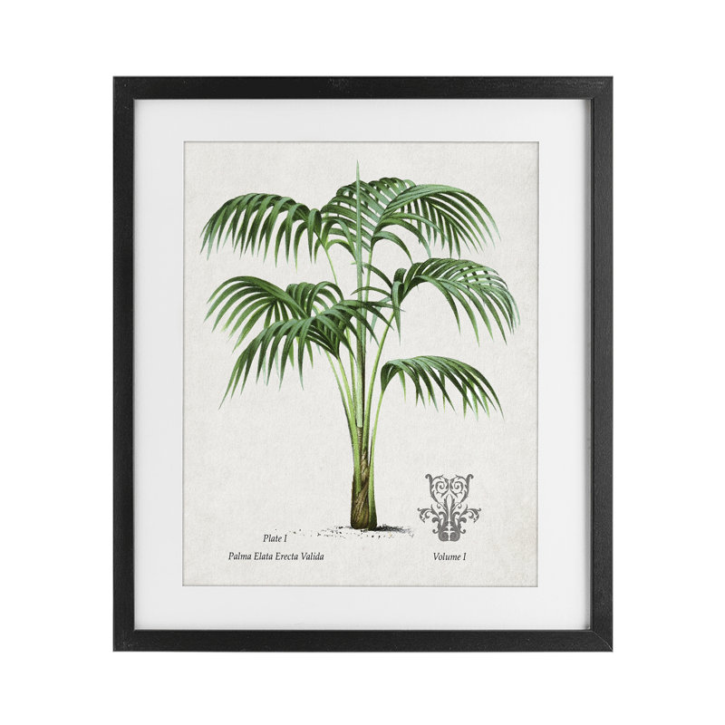 Étude de palmier naturel, reproduction encadrée sous verre, conception de Val Rhodes, H 21 po x l 17 po, Cadre noir minuit