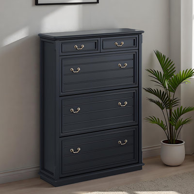 Classic black popular storage shoe cabinet