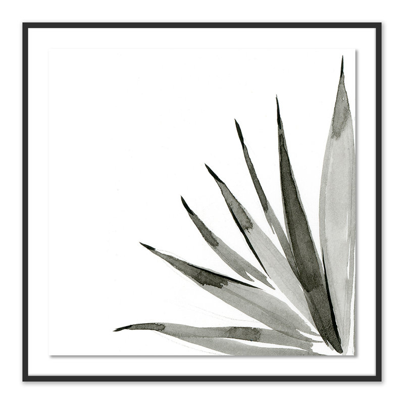 Agave I Print by Jess Engle, Black, 48" H x 48" W x 2.5" D