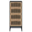 Annetrude Storage Cabinet