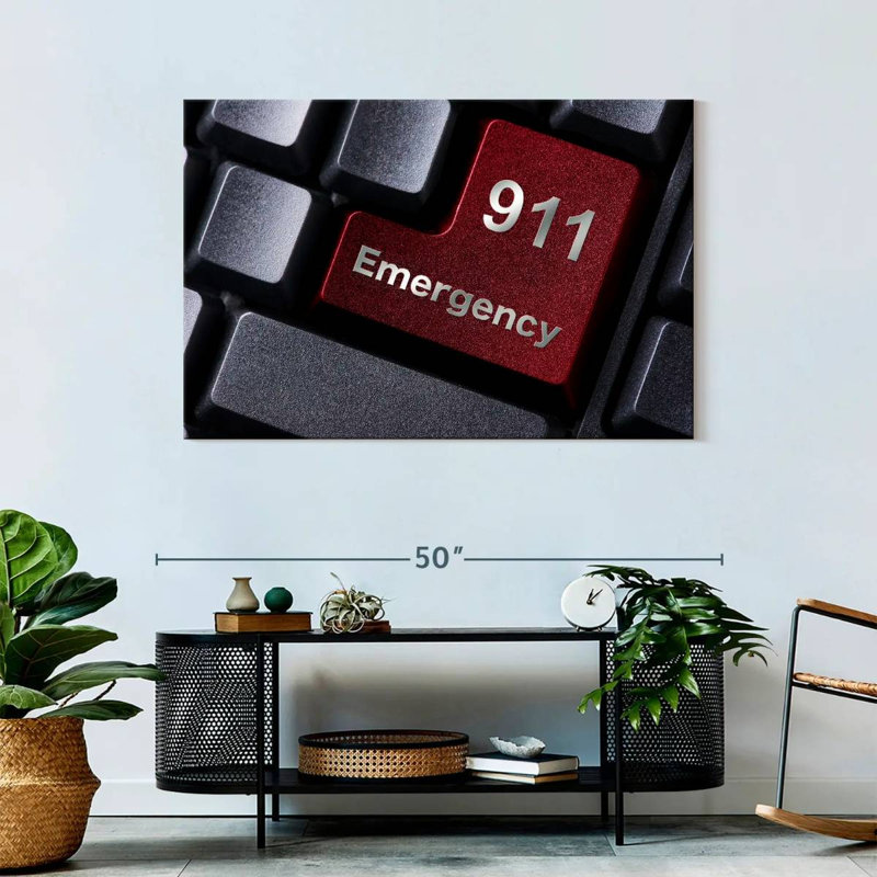 Alcaraz 911 Emergency, 30" H x 45" W
