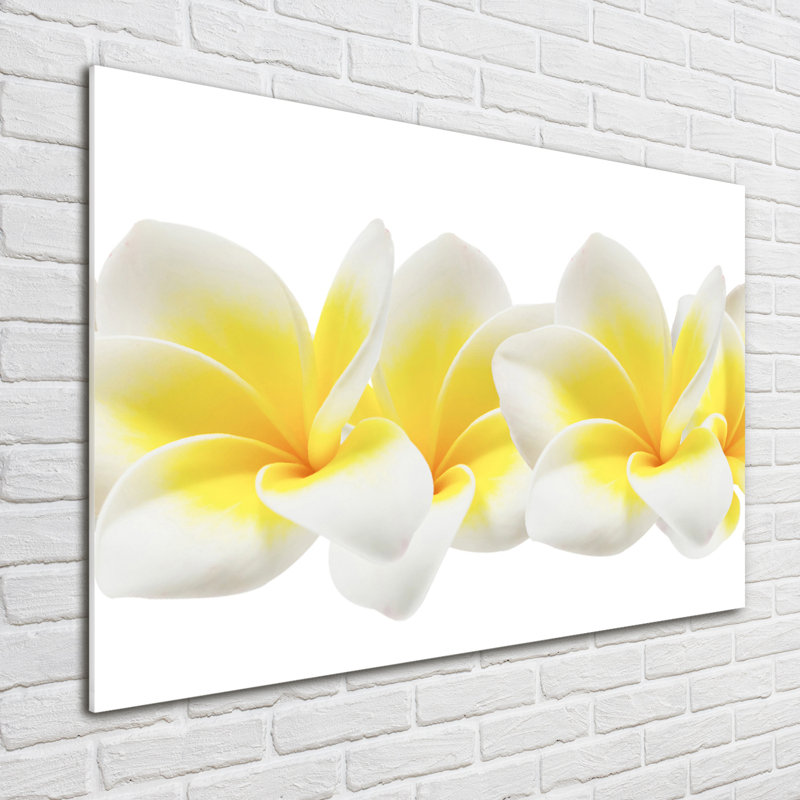 Plumeria - No Frame Print on Glass