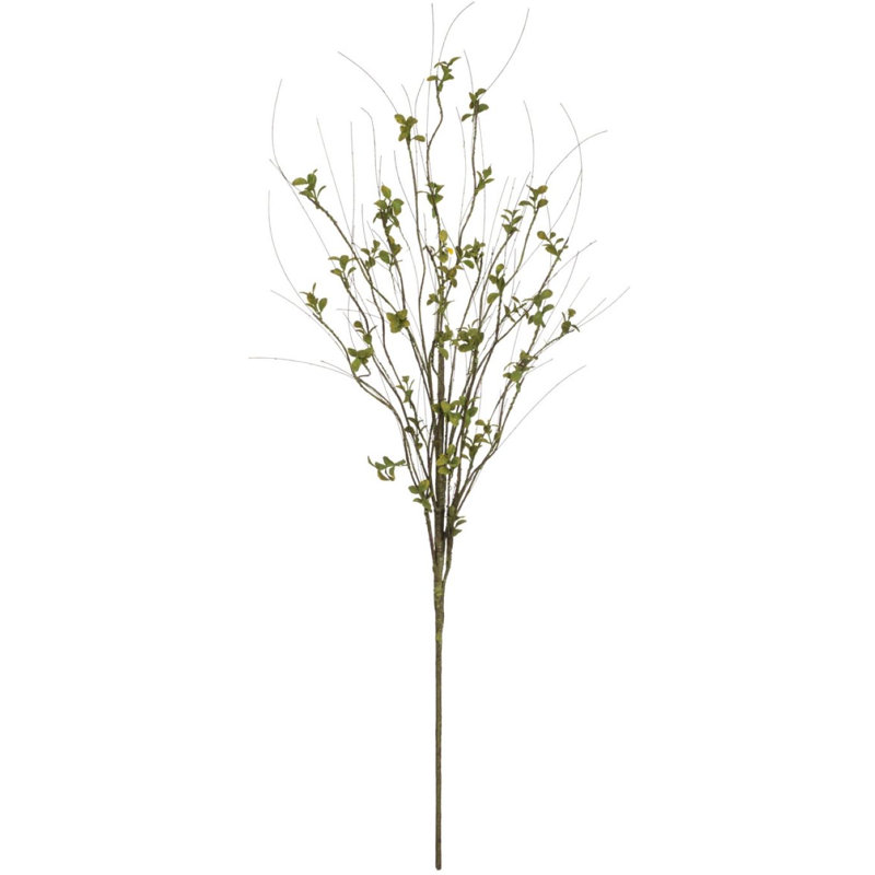 Foliage Arrangement