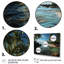 «Amandy Beach Palm Oasis», reproduction sur toile-306956567-523954145
