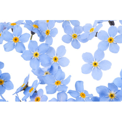 Flower Seamless Background by _Vilor - Wrapped Canvas Painting