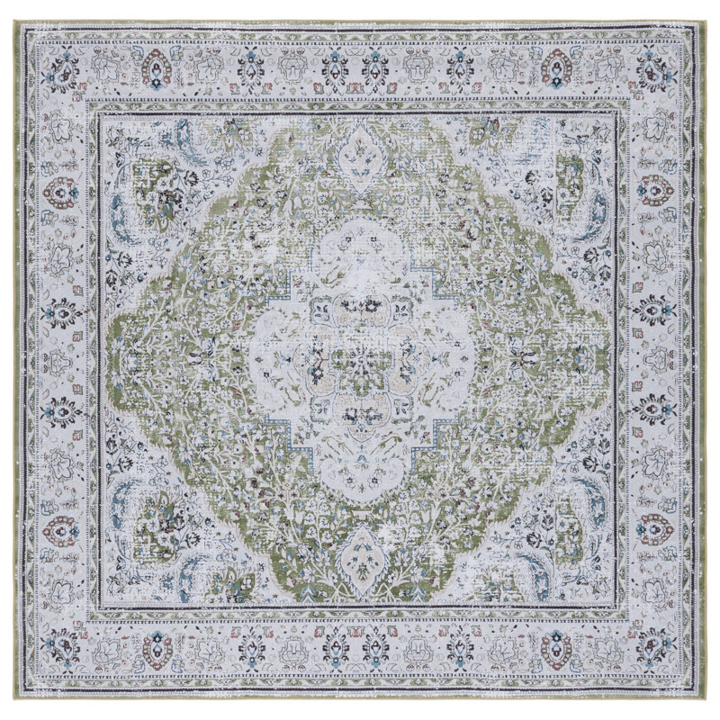 Czarnetzki Performance Machine Washable Oriental Rug, Square 6'
