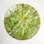 Horloge murale décorative en bois Forest Forest-1310784816