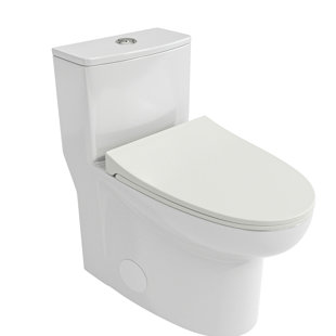 Toilette moderne en céramique avec double chasse d'eau et teinture