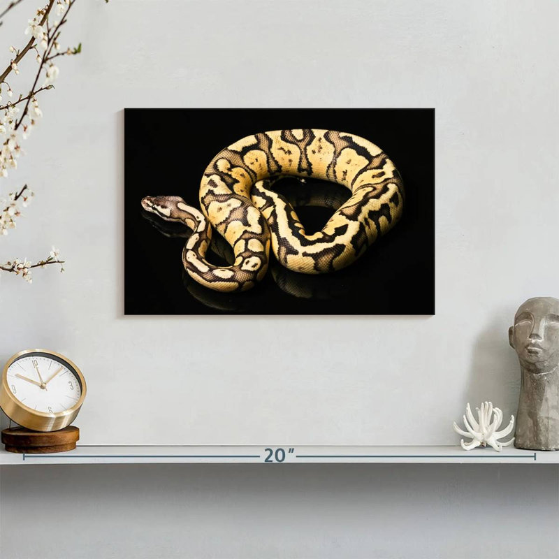 Brampt Female Python Snake, 8" H x 12" W