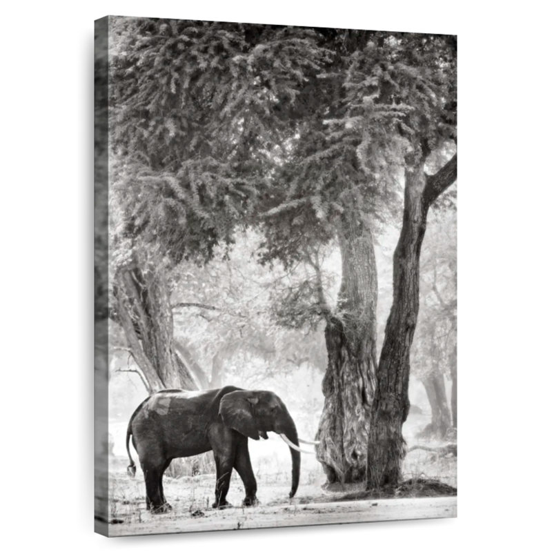 Brampt Wandering Elephant, 45" H x 30" W