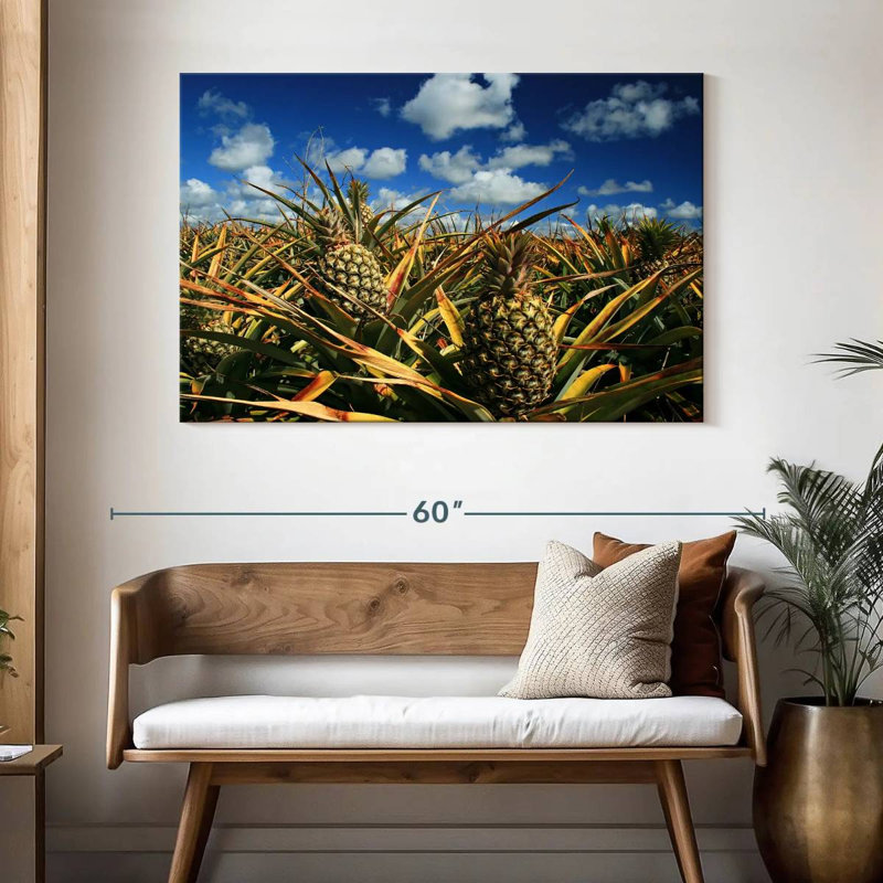Ananas de Yarlin, Thaïlande, H 32 po x l 48 po