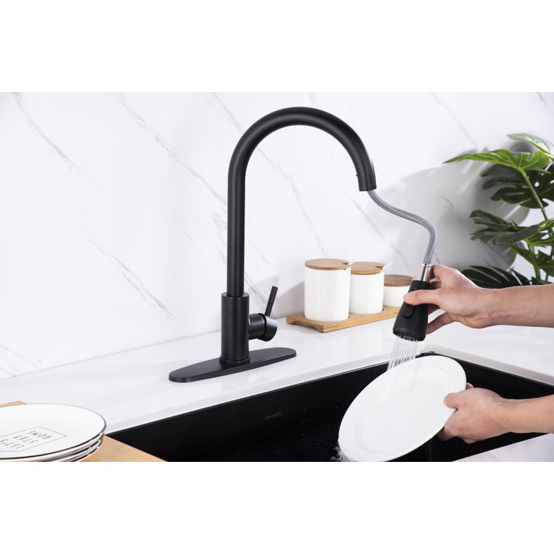 KISRAIS Pull Down Kitchen Faucet