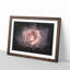 Pink Tipped Rose Flower - Picture Frame Graphic Art Print-56861650-56861652