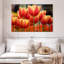 Harnek Darwin Hybrid Tulips-107687951
