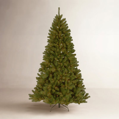 Norwood Fir Green Spruce Christmas Tree with Lights