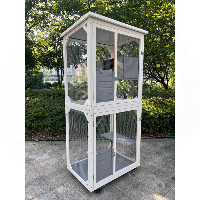 Cage de jeu d'extérieur pour chat