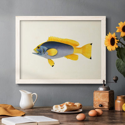 Collection de poissons tropicaux - Toile tendue avec châssis rustique - 2778376