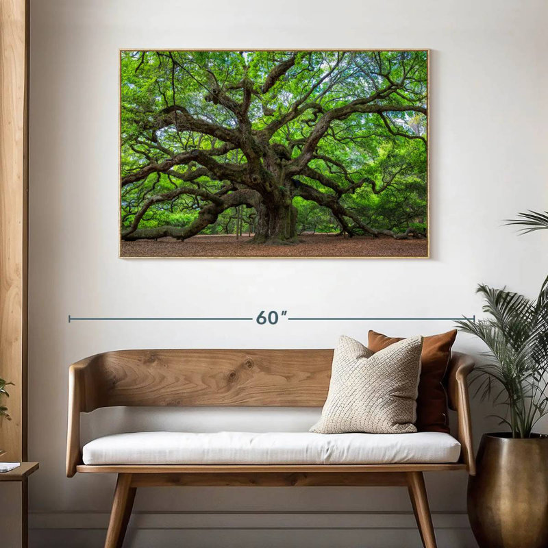 Vieux chêne, Cadre flottant en bois naturel, 46 po x 31 po
