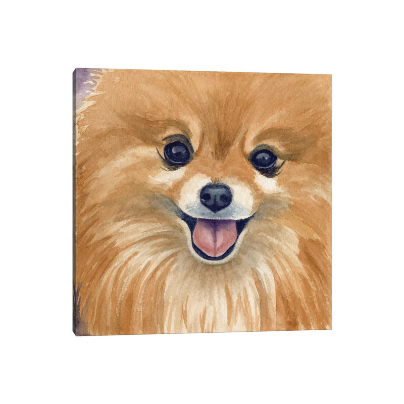 " Paco " by Teresa Kogut, Wrapped Canvas, No Matte, 26" H x 26" W x 1.5" D