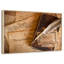 «Quill»-1151873453-1151873446