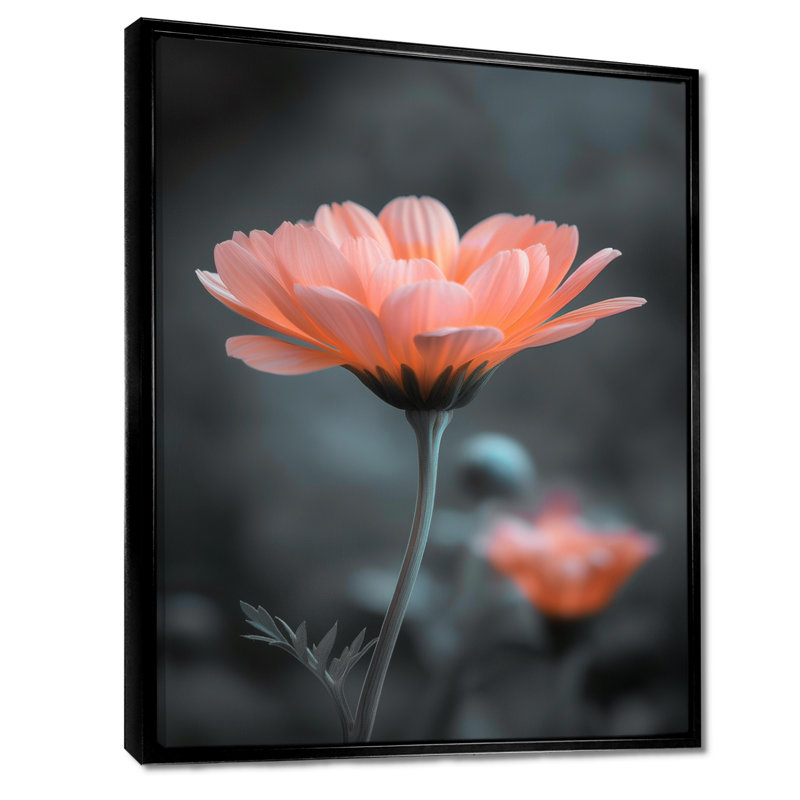 Photo de souci botanique rose et gris - souci mural, salon, Cadre flottant noir, bois massif, H 16 po x l 32 po