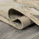 Coreyonna Abstract Marbled Modern Gold/Gray Rug