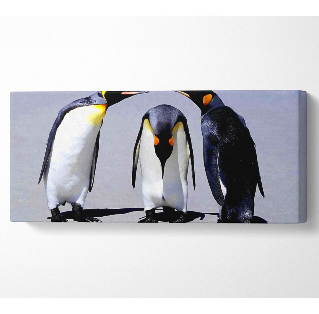 Penguin Shame - Kunstdrucke auf Leinwand - Wrapped Canvas