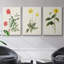 " Flowers Of The Seasons X " 3 - Pieces-91891113-91891120