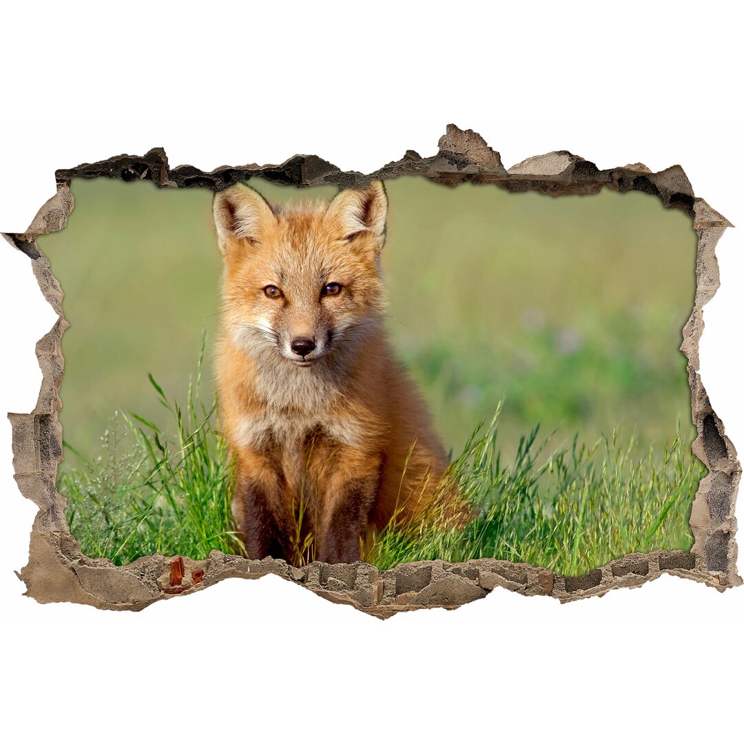 Junger Fuchs im Gras Wandaufkleber