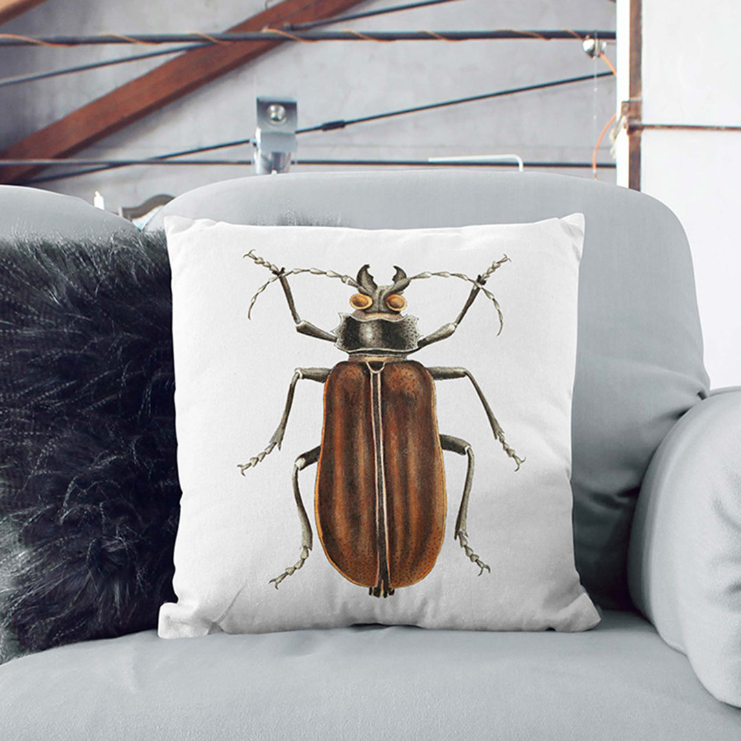 Beetle by George Shaw Cushion with Filling