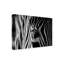 «Abstract Zebra» par Roy Darnell-1909633913