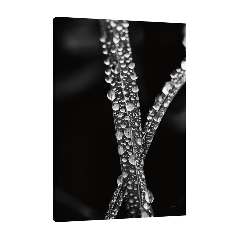 «Water Droplets», toile tendue par Aledanda, H 48 po x l 32 po x P 1,5 po