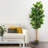 72'' Faux Banyan Tree in Pot