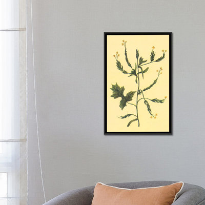 «Hedge Mustard», reproduction sur toile
