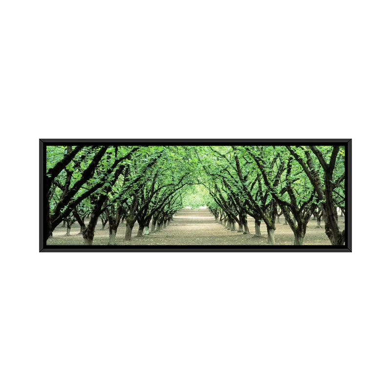 « hazeling verger, dayton, oregon », reproduction de photo sur toile, H 20 po x l 60 po x P 1,5 po, Toile tendue