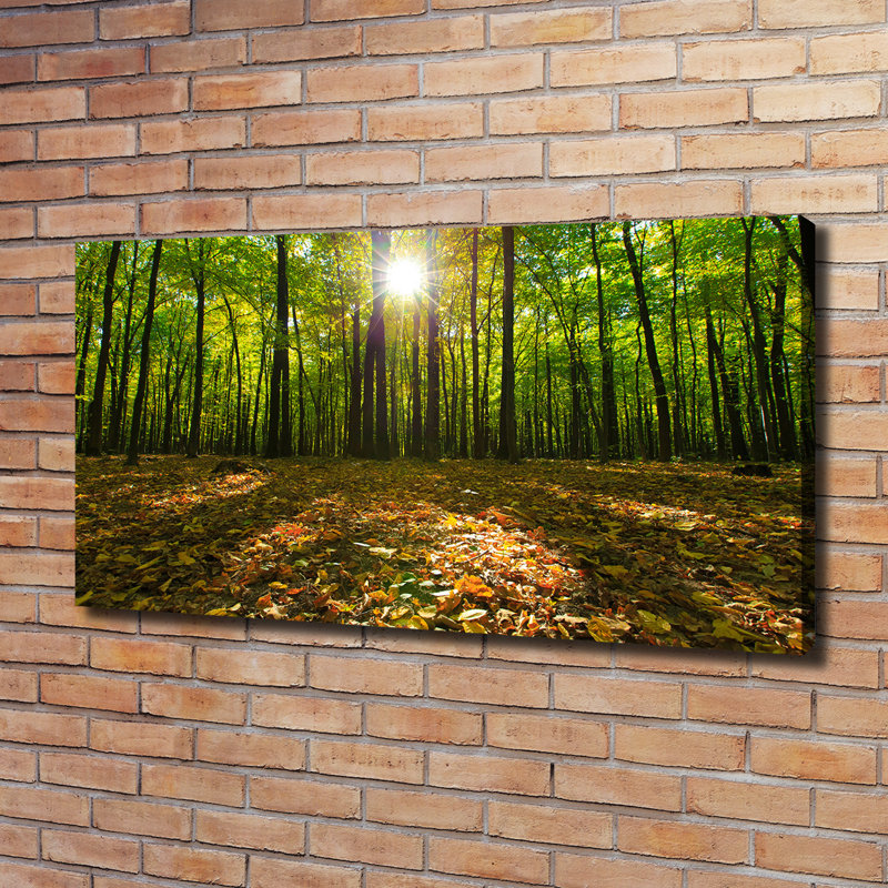 Forest 1 Piece Wrapped Canvas Wall Art