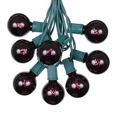 Outdoor 25 - Bulb 25'' Plug-in Globe String Light