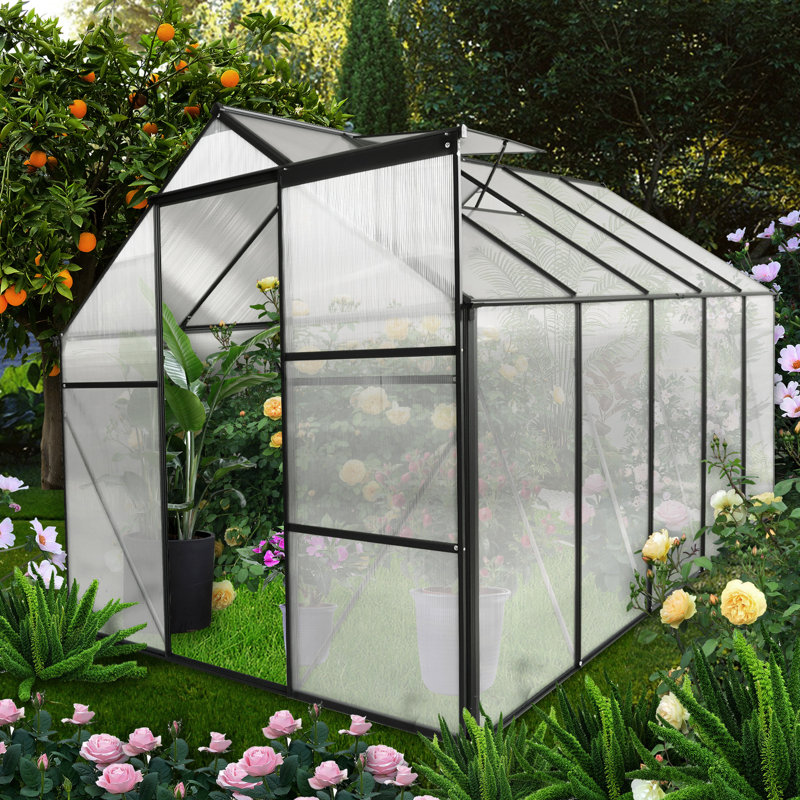 Heavy-Duty 6X10 Ft Greenhouse With Ventilation For Plant Health All Seasons Polycarbonate Insect Access Pollination