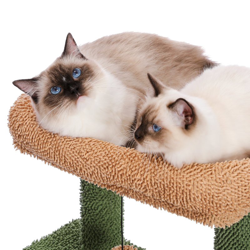 Adenike 41'' H Cat Tree