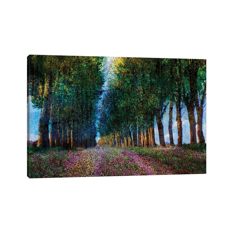 Row Of Trees Provence by Christopher Vest - Wrapped Canvas Print, 30.48 cm H x 45.72 cm W