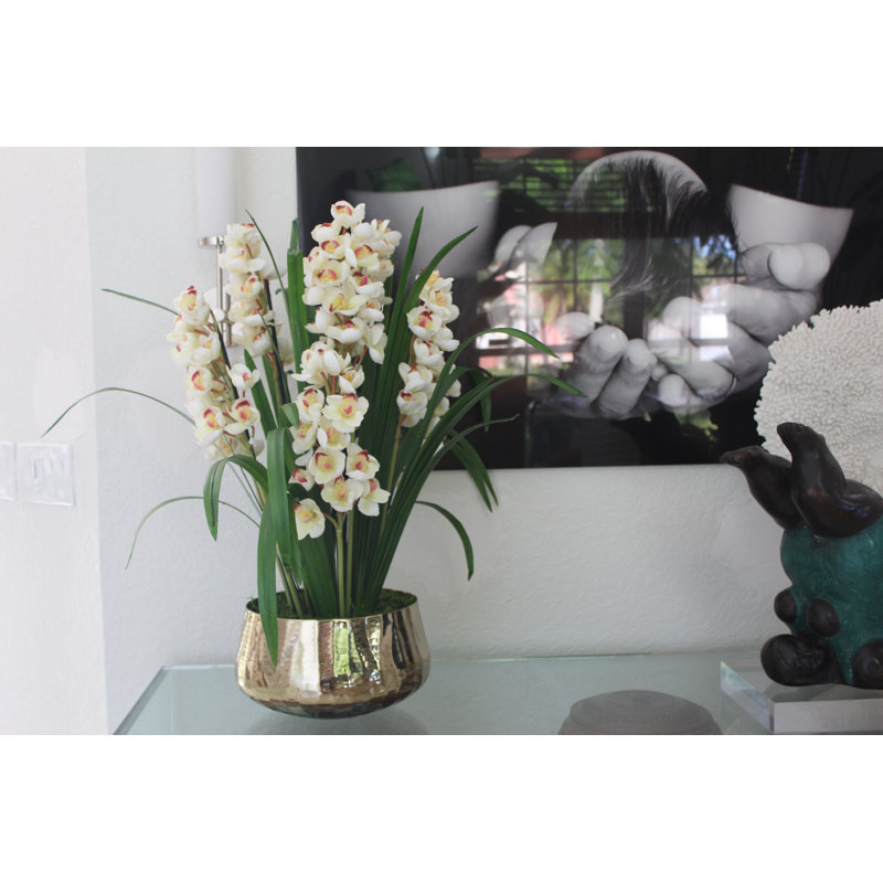 Orchids Arrangement in Basket, White