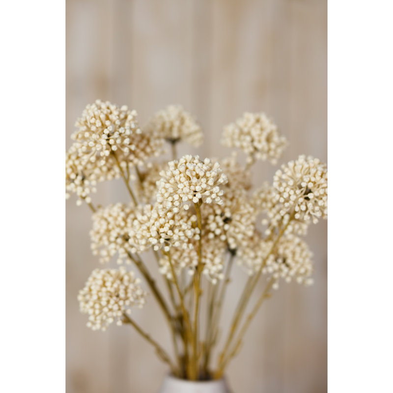Arrangement, Cream